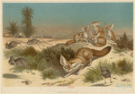 Image ID 822648