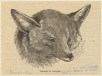Image ID 822649