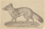 Image ID 822650