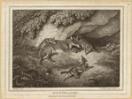 Image ID 822652
