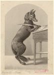Image ID 822655