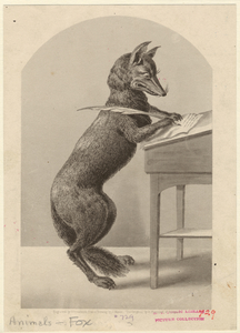 [Fox writing with a quill pen.... Digital ID: 822655. New York Public Library