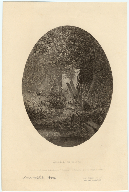 Image ID 822656
