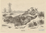 Image ID 822658