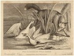 Image ID 822660