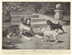 Image ID 822664