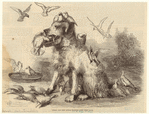 Image ID 822665