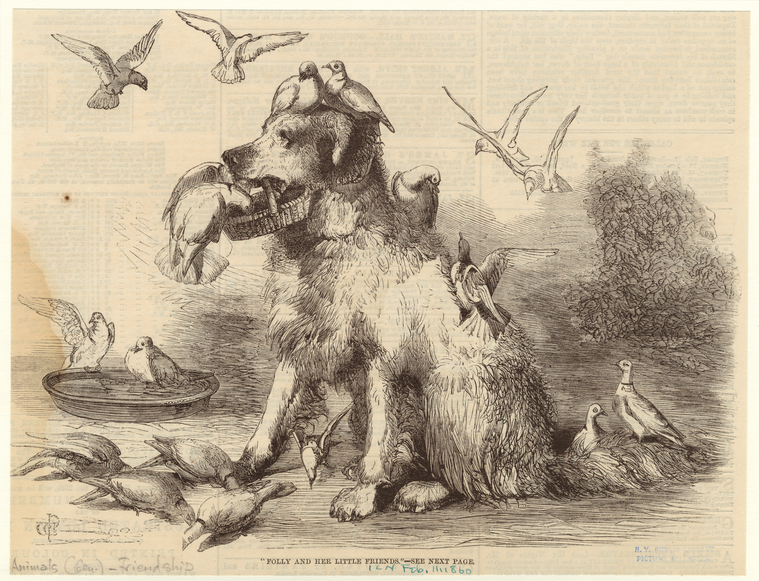Image ID 822665
