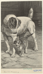 Image ID 822666