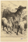 Image ID 822671
