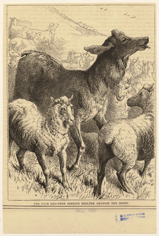 Image ID 822671
