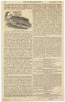 Image ID 822674