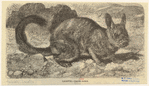 Image ID 822675