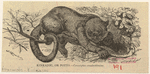 Image ID 822677