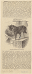Image ID 822680