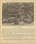 Image ID 822687