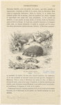 Image ID 822690