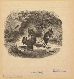 Image ID 822694