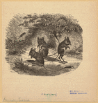Image ID 822694