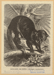 Image ID 822695