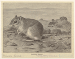 Image ID 822703