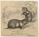 Image ID 822706