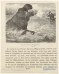 Image ID 822712