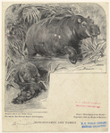 Image ID 822716