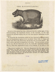 Image ID 822717