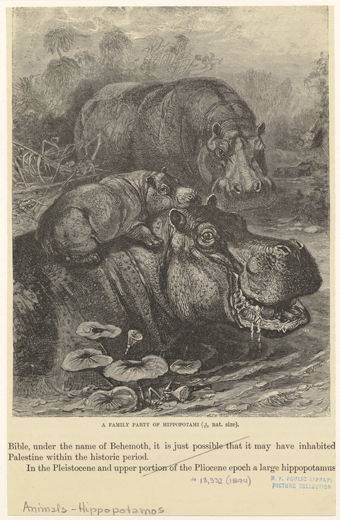 Image ID 822721
