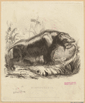 Image ID 822723