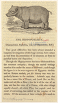 Image ID 822724