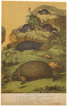 Image ID 822725