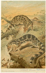 Image ID 822727