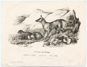 Image ID 822728