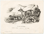 Image ID 822728