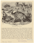 Image ID 822732