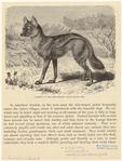 Image ID 822733