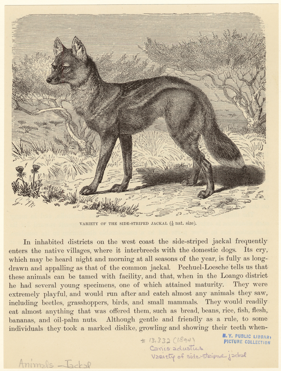 Image ID 822733

