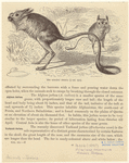 Image ID 822735