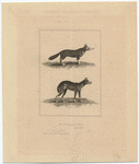 Image ID 822739