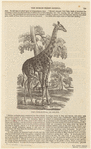 Image ID 822743