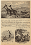 Image ID 822745