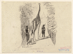 Image ID 822761