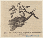Image ID 822762