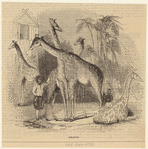 Image ID 822764
