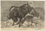 Image ID 822771