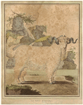 Image ID 822775