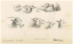 Image ID 822776