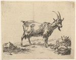 Image ID 822782